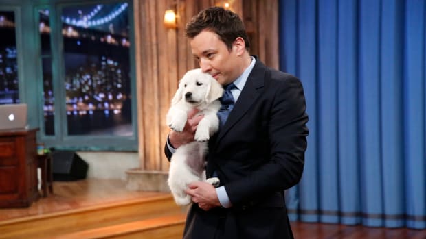 super-bowl-puppy-predictions-jimmy-fallon.jpg